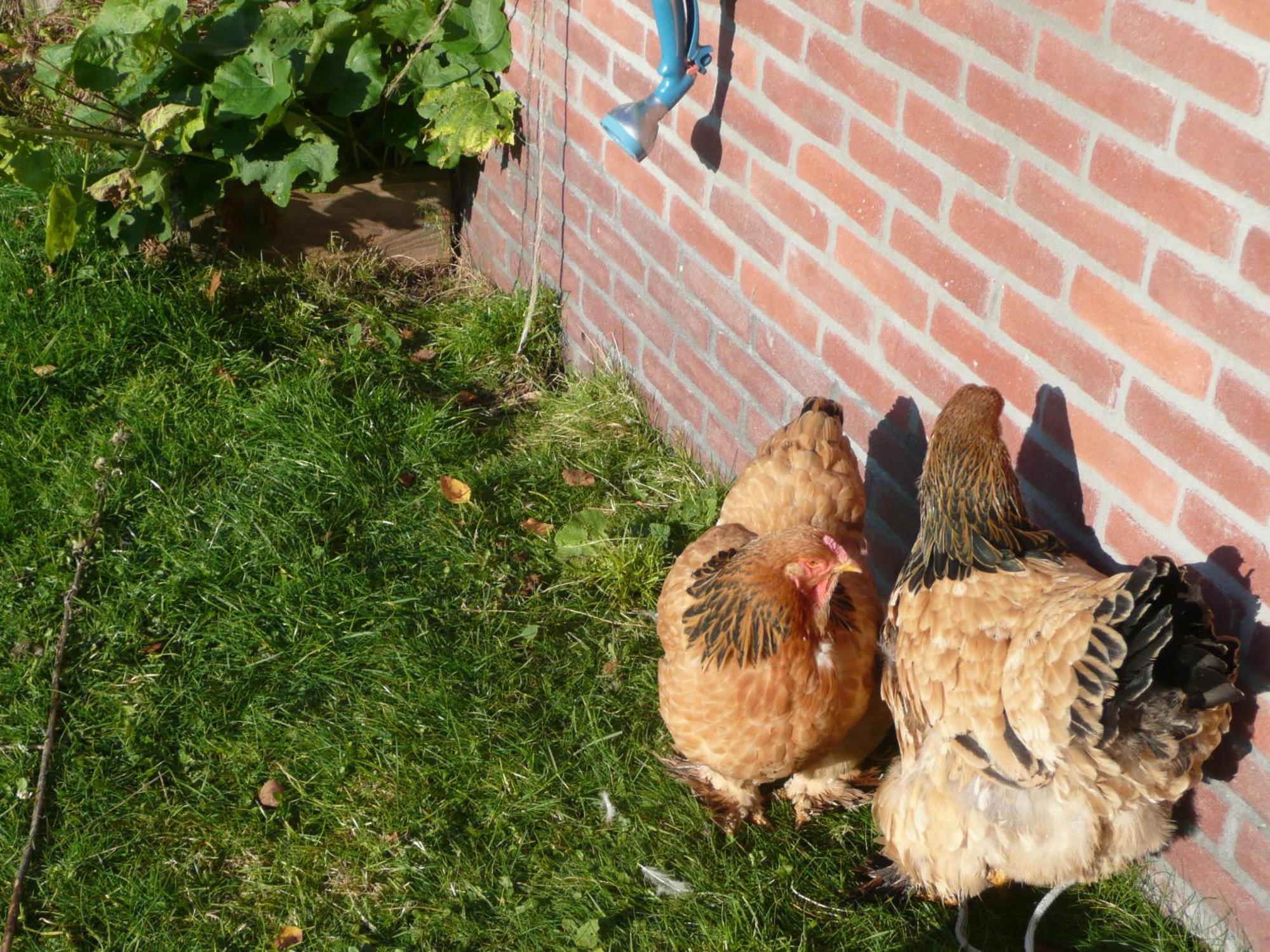 Bed and Breakfast Slaopen En Stoet Anderen Exterior foto
