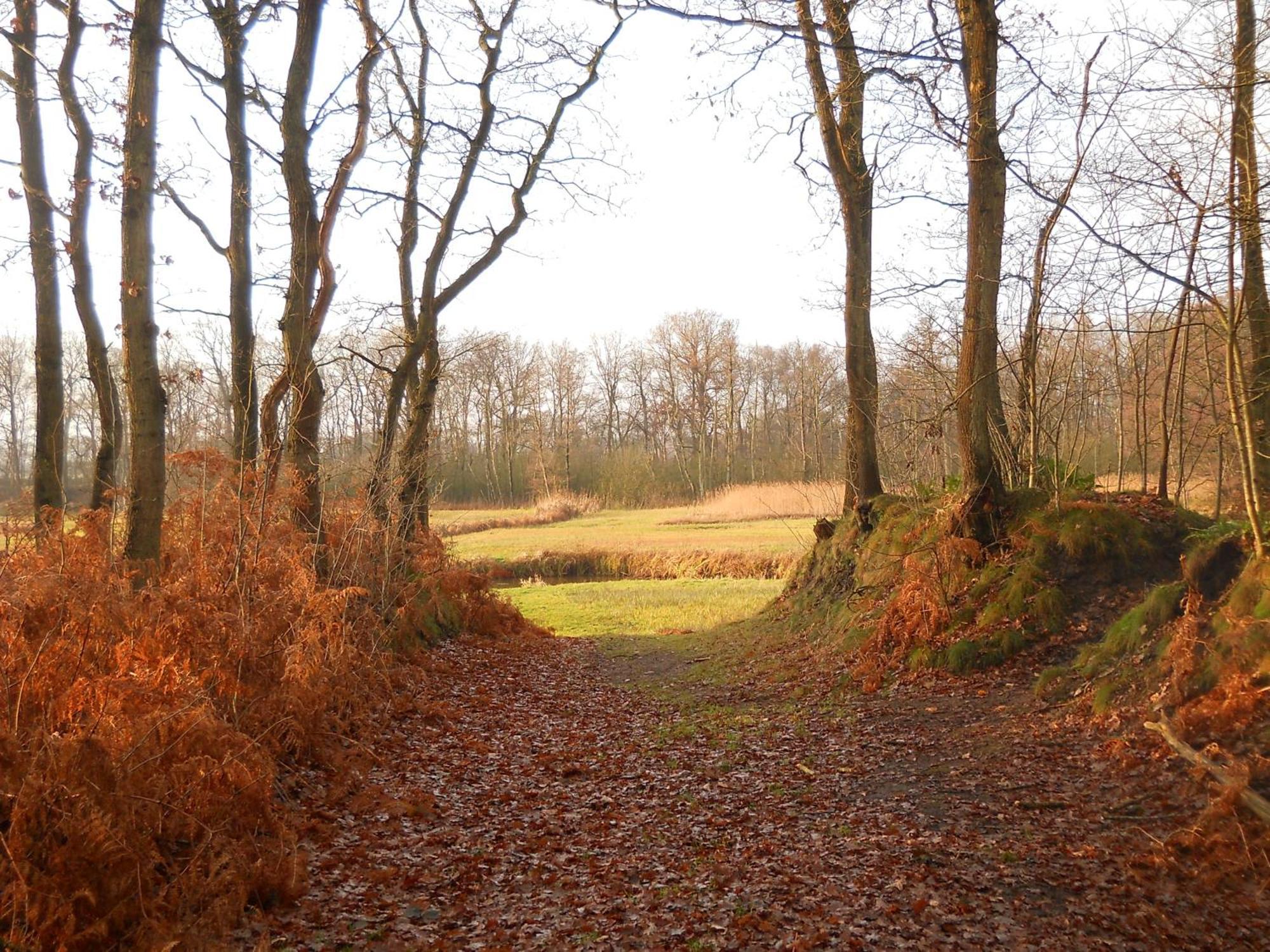 Bed and Breakfast Slaopen En Stoet Anderen Exterior foto